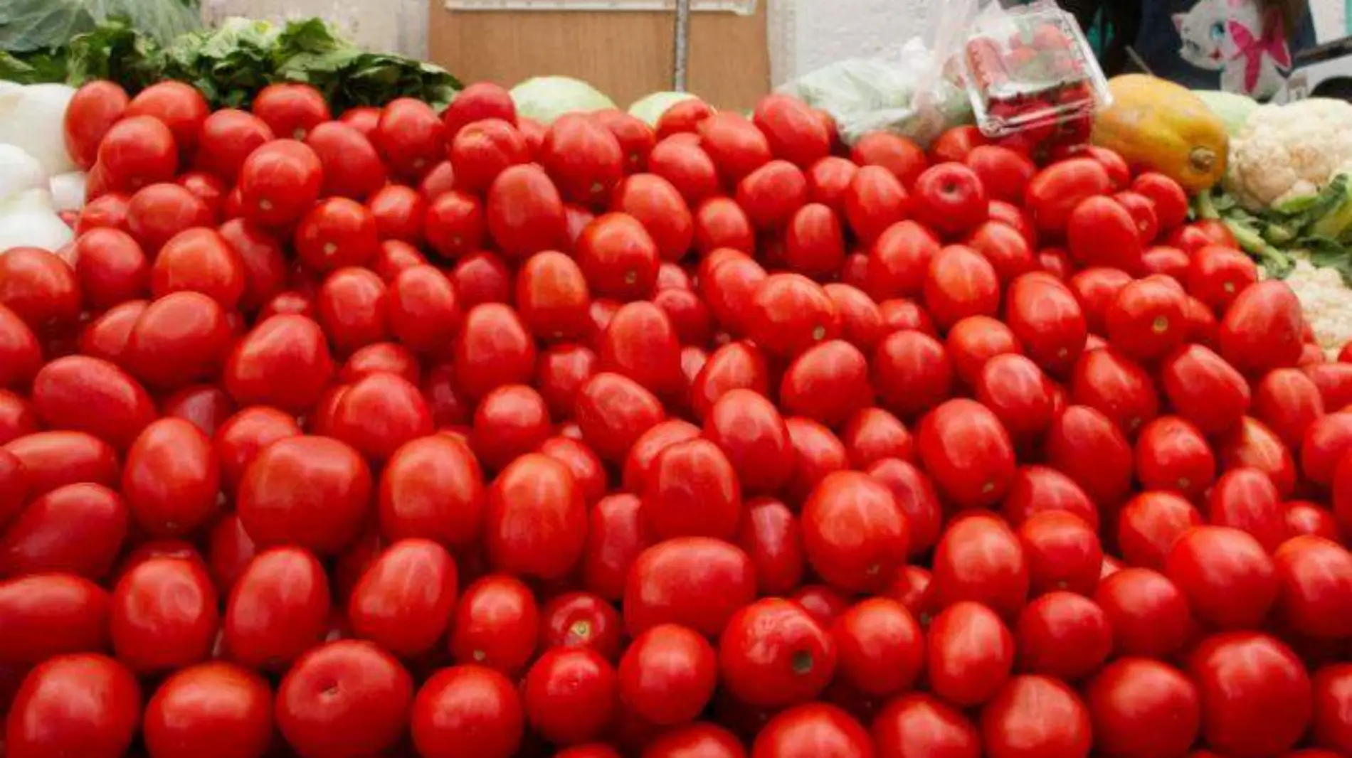 tomateros CUARTOSCURO